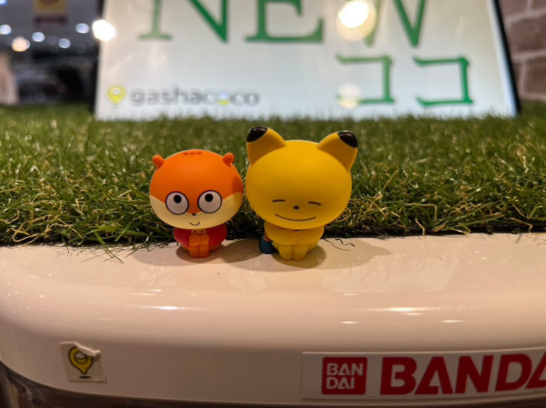 あすかさんイメージ4